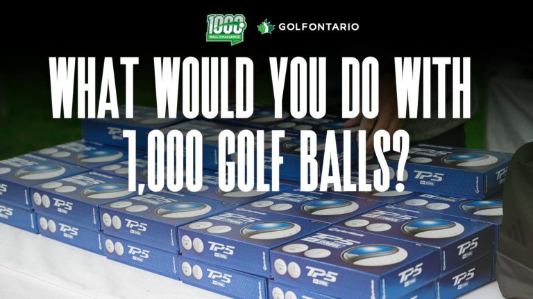 5920bdf6-736e-efb4-cfd3-465deb55b8df