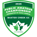 temp alt for theme list items