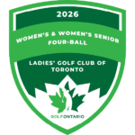 temp alt for theme list items