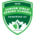 temp alt for theme list items