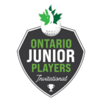 temp alt for theme list items