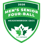 temp alt for theme list items