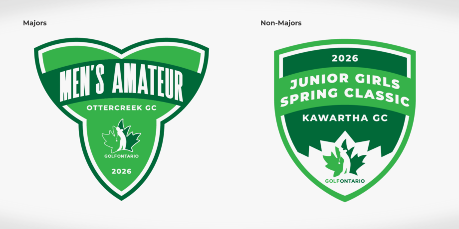 temp alt from theme latest posts