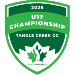 temp alt for theme list items