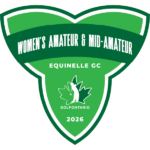 temp alt for theme list items