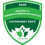 temp alt for theme list items