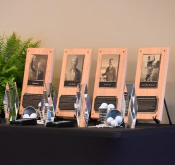 temp alt for theme iandt