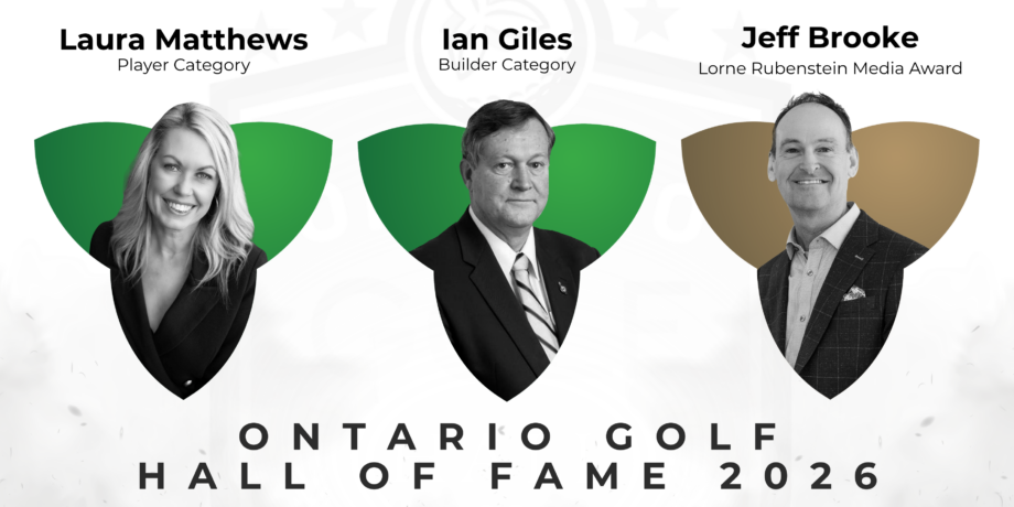 temp alt from theme latest posts