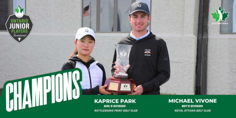 temp alt from theme latest posts