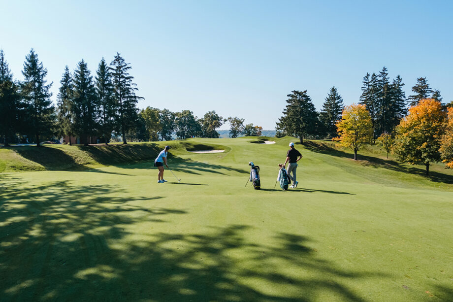 temp alt from theme latest posts