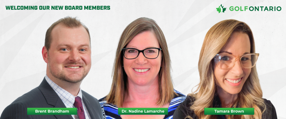 temp alt from theme latest posts